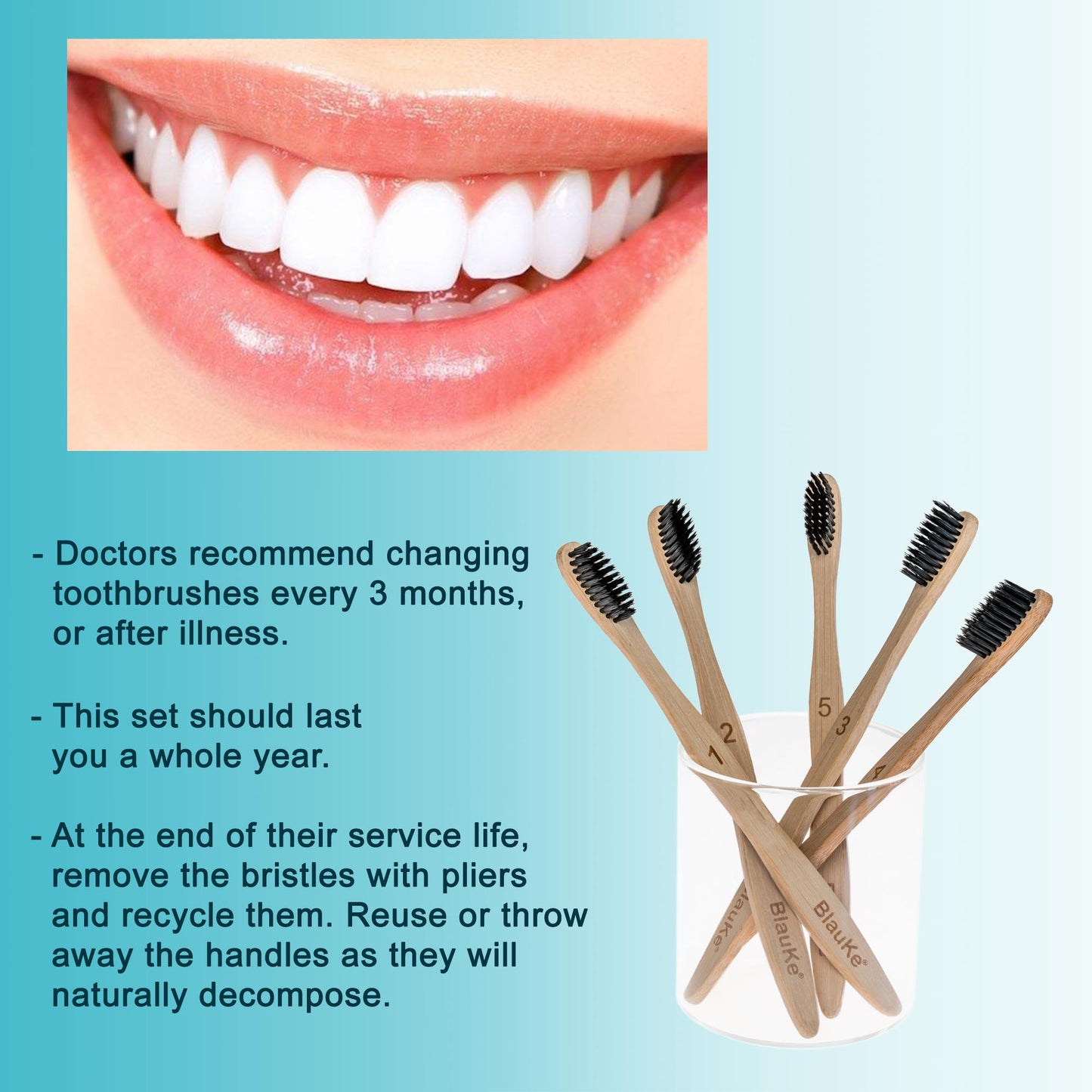 EcoBrush 5-Pack