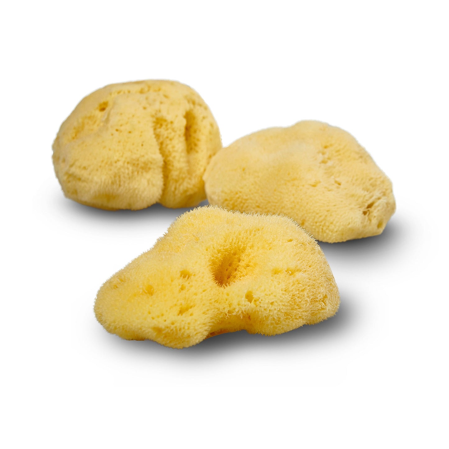 Natural Sea Sponge - Zero Waste Organic Sponge - Plastic Free