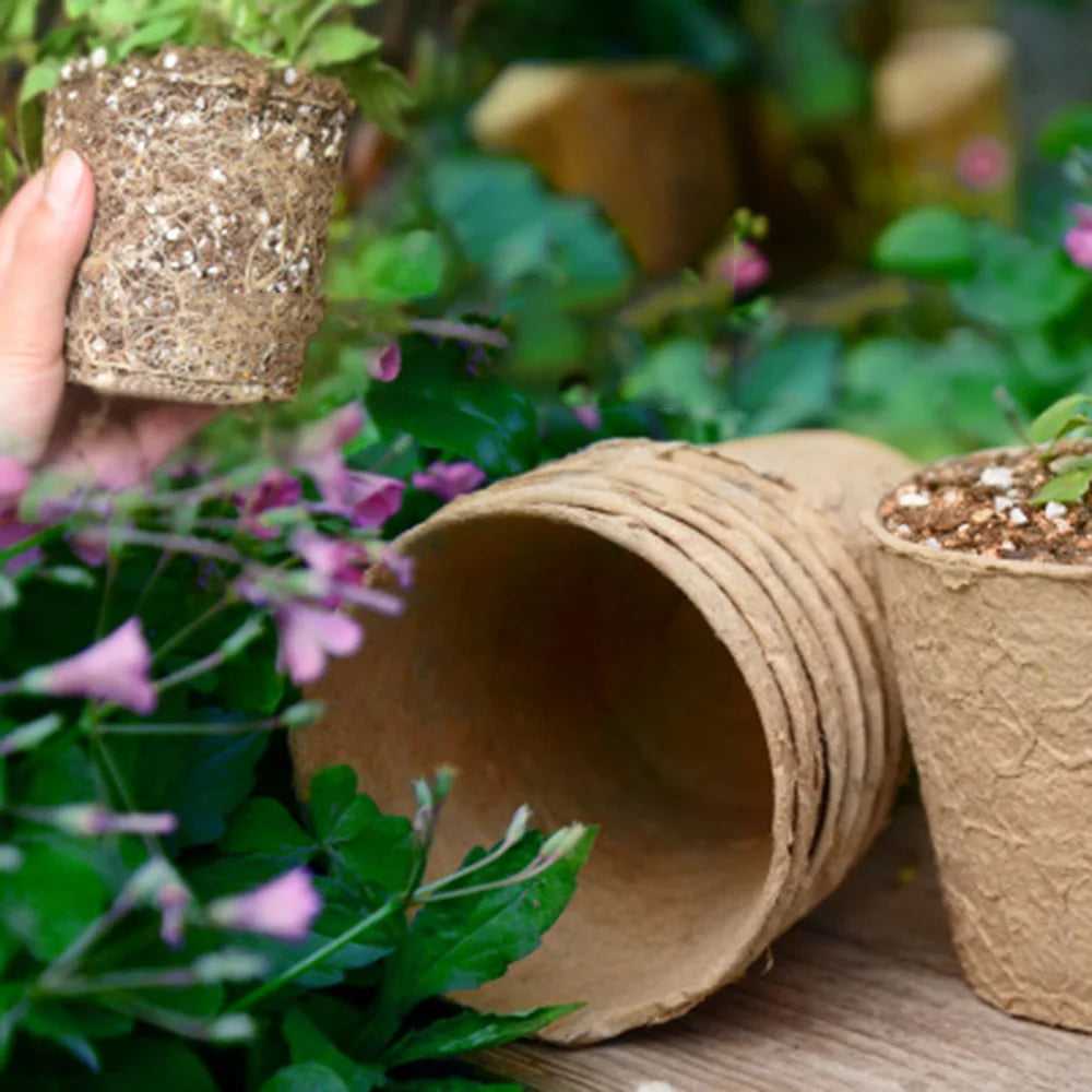 50 Pcs 6cm Garden Round Peat Pots Plant Seedling Starters Cups Nursery