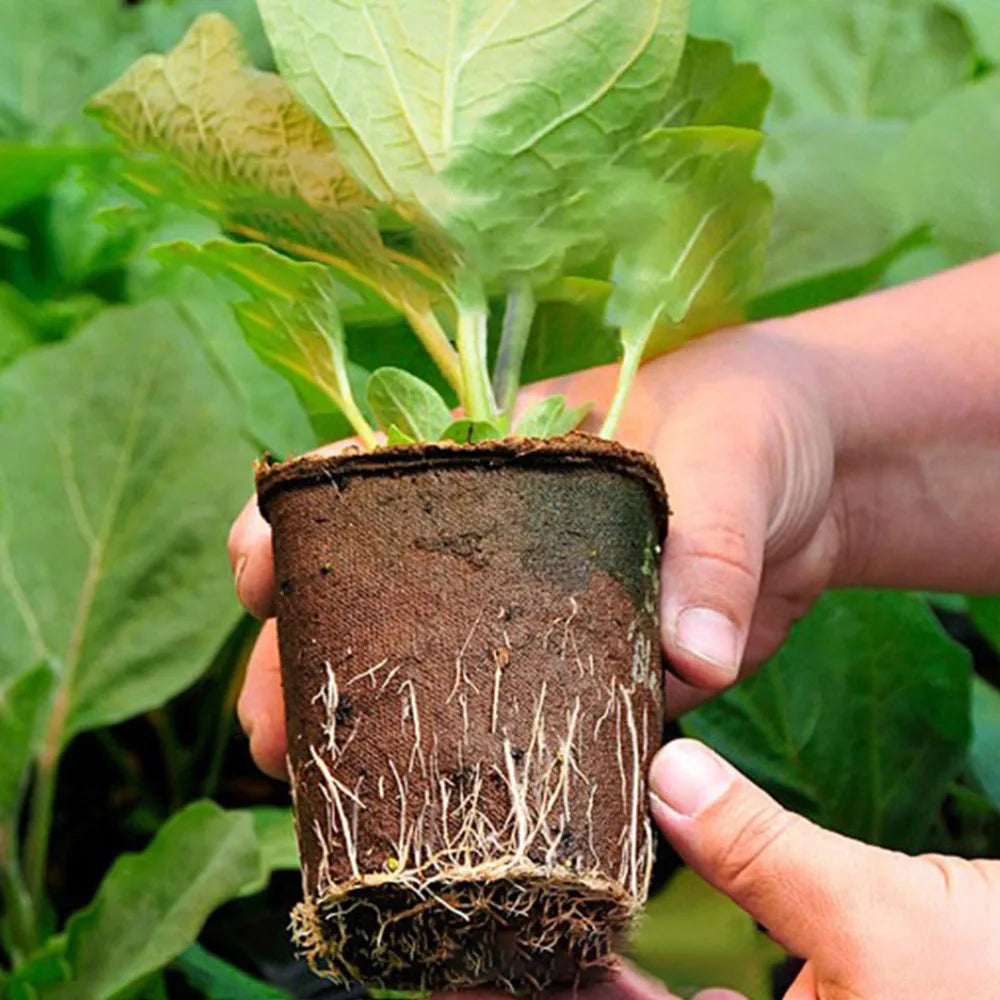 50 Pcs 6cm Garden Round Peat Pots Plant Seedling Starters Cups Nursery
